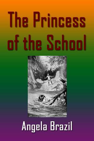 Cover of the book The Princess of the School by Anton Tchekhov