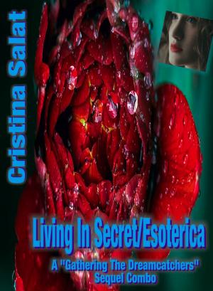 Cover of the book Living In Secret/Esoterica Sequel Combo by Dean Dowdy