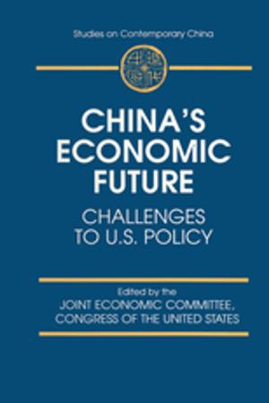 Cover of the book China's Economic Future by Dario Togati