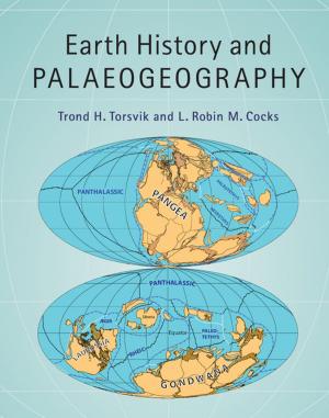 Cover of the book Earth History and Palaeogeography by Carol A. G. Jones