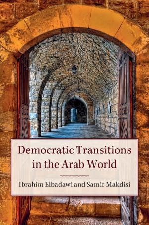 Cover of the book Democratic Transitions in the Arab World by Jenny Olive