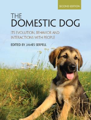 Cover of the book The Domestic Dog by Lyn Bennett