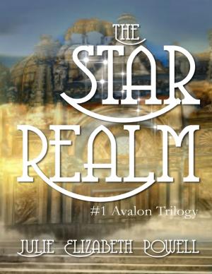 Cover of the book The Star Realm #1 Avalon Trilogy by David W. Gordon