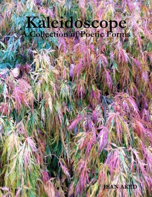 Cover of the book Kaleidoscope: A Collection of Poetic Forms by Rebecca Troup