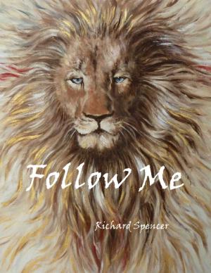 Cover of the book Follow Me by Tom Colburn