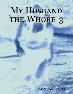 bigCover of the book My Husband the Whore 3 by 