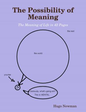 Cover of the book The Possibility of Meaning by Tami Brady