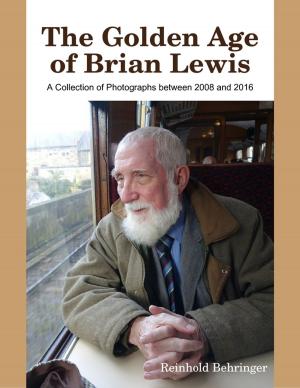 Book cover of The Golden Age of Brian Lewis