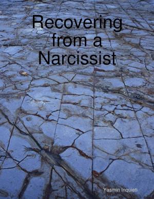 Cover of the book Recovering from a Narcissist by Robert Stetson