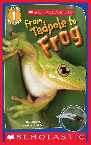Cover of Scholastic Reader Level 1: From Tadpole to Frog
