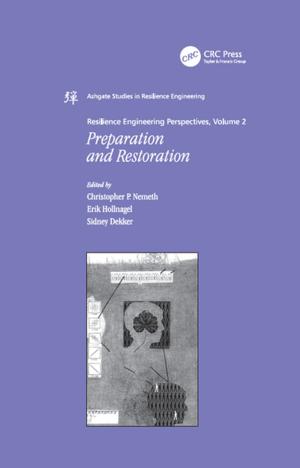 Book cover of Resilience Engineering Perspectives, Volume 2