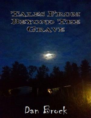 Cover of the book Tales from Beyond the Grave by Dr. M Coskun Cangöz, Dr. Emre Balibek