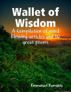 Cover of the book Wallet of Wisdom by Israel Moor-X Bey El