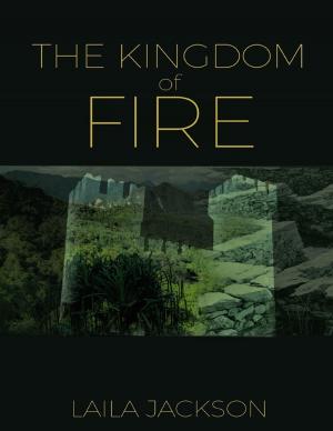 Cover of the book The Kingdom of Fire by Kyle Robinson