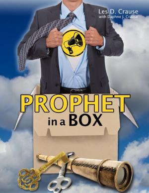 Cover of the book Prophet In a Box by Jack Stills