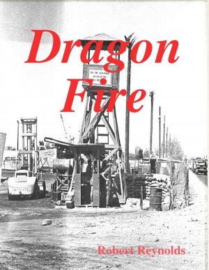 Cover of the book Dragon Fire by Catherine Carson