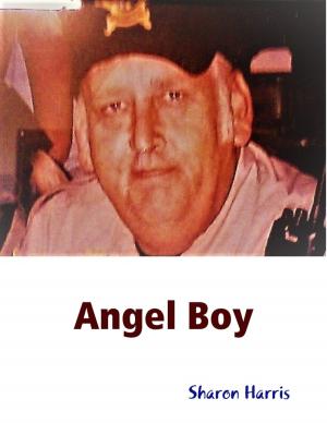 Cover of the book Angel Boy by Dennis Herman