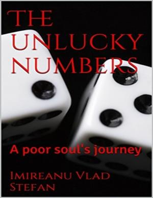 Cover of the book The Unlucky Numbers: A Poor Soul's Journey by Robert Stetson