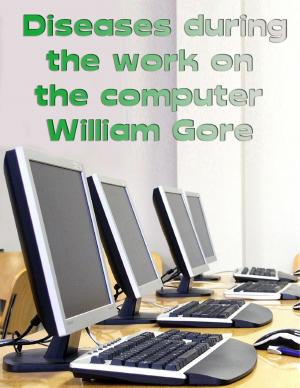 bigCover of the book Diseases During the Work on the Computer by 