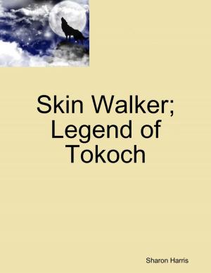 bigCover of the book Skin Walker; Legend of Tokoch by 