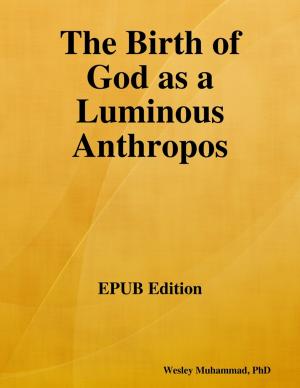 Cover of the book The Birth of God as a Luminous Anthropos by R Smith