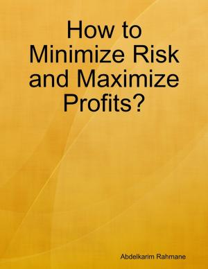 Cover of the book How to Minimize Risk and Maximize Profits? by Lee Breakiron, Mark Finn, Mark Hall, Rusty Burke, Larry Richter, Jeffrey Shanks