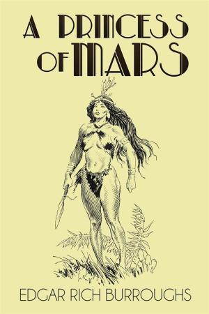 Cover of the book A Princess of Mars by Einhard