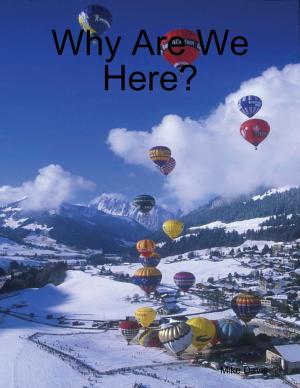Cover of the book Why Are We Here? by Gavin Chappell