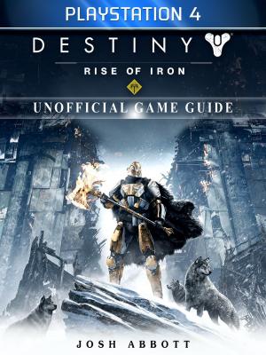 Book cover of Destiny Rise of Iron Playstation 4 Unofficial Game Guide