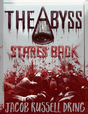 Cover of the book The Abyss Stares Back by Chris Morningforest, Rebecca Raymond