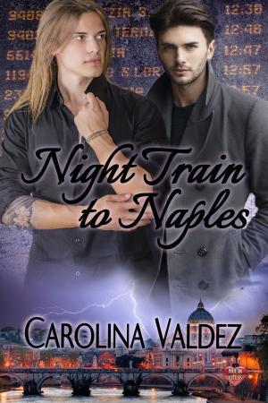 Cover of the book Night Train to Naples by Liz Strange