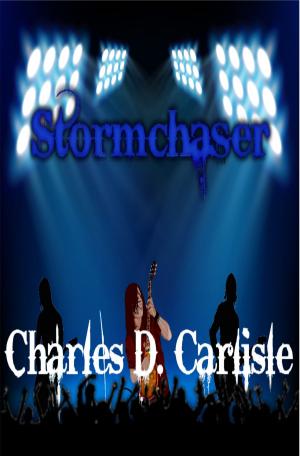 Cover of the book Stormchaser by Lithier