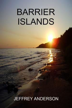 Book cover of Barrier Islands