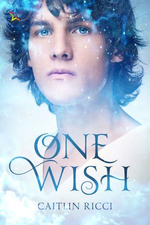 Cover of the book One Wish by Schuyler L’Roux