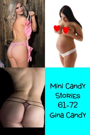 Cover of the book Mini Candy: Stories 61-72 by Gina Candy