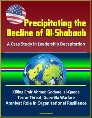 bigCover of the book Precipitating the Decline of Al-Shabaab: A Case Study in Leadership Decapitation - Killing Emir Ahmed Godane, al-Qaeda, Terror Threat, Guerrilla Warfare, Amniyat Role in Organizational Resilience by 