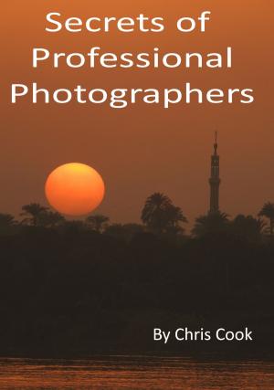Book cover of Secrets of Professional Photographers