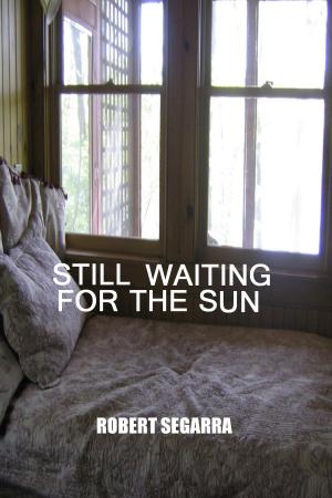 Book cover of Still Waiting For The Sun