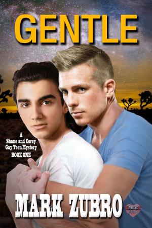 Cover of the book Gentle by A.C. Katt