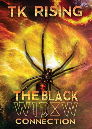 Cover of the book The Black Widow Connection by J.M. Parry