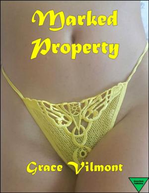 Cover of the book Marked Property by Jodi Kae
