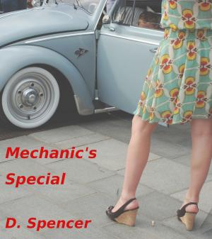 Cover of Mechanic's Special