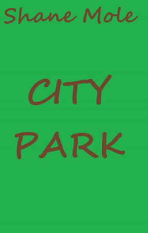Cover of the book City Park by Samantha Westlake