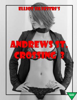 Cover of the book Andrews St. Crossing 3 by Elliot Silvestri