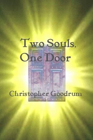 Cover of the book Two Souls, One Door by Will McIntosh
