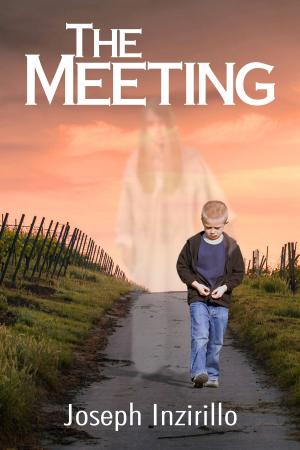 Cover of The Meeting