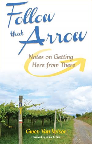 Book cover of Follow That Arrow: Notes on Getting Here from There