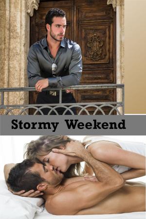 Cover of the book Stormy Weekend by BJ Deephouse