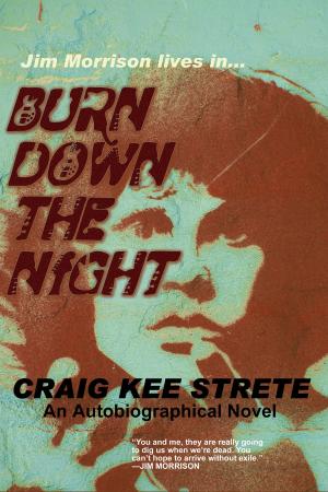 Cover of the book Burn Down the Night by Roby James