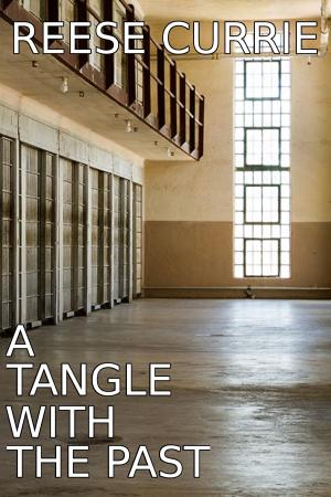 Cover of the book A Tangle With the Past by Marie d'Ange